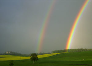 What light bulbs are similar to sunlight - Two rainbows against a dark sky with green field below