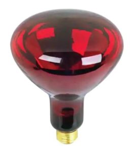 Feit 250W Incandescent Red Heat Lamp