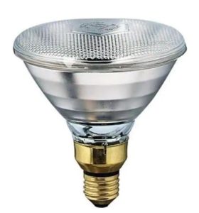 Philips 175W Heat Light Bulb